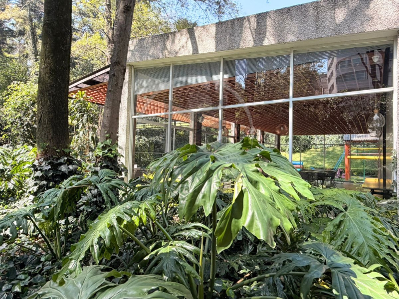 departamento en venta en residencial lomas i, lomas de chapultepec