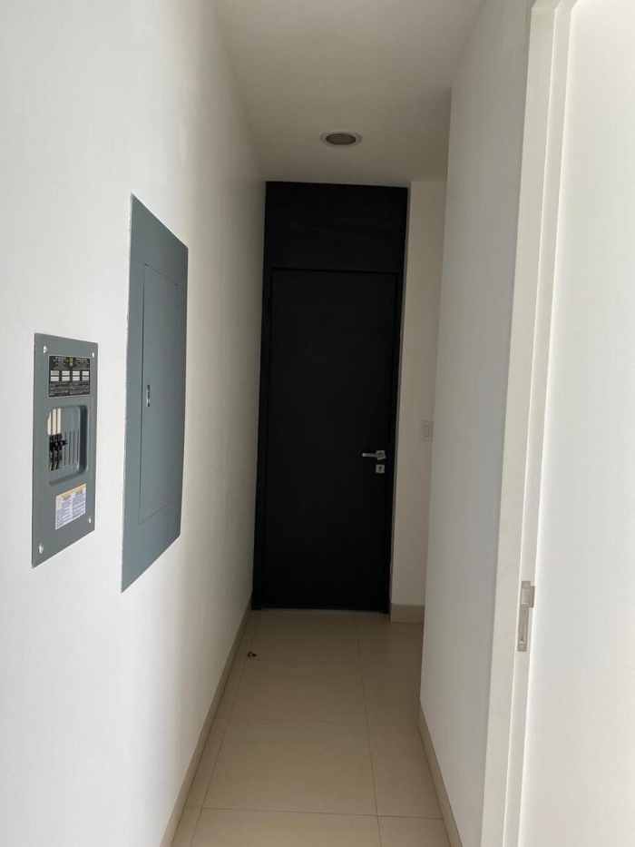 departamento en renta en augusta, bosque real