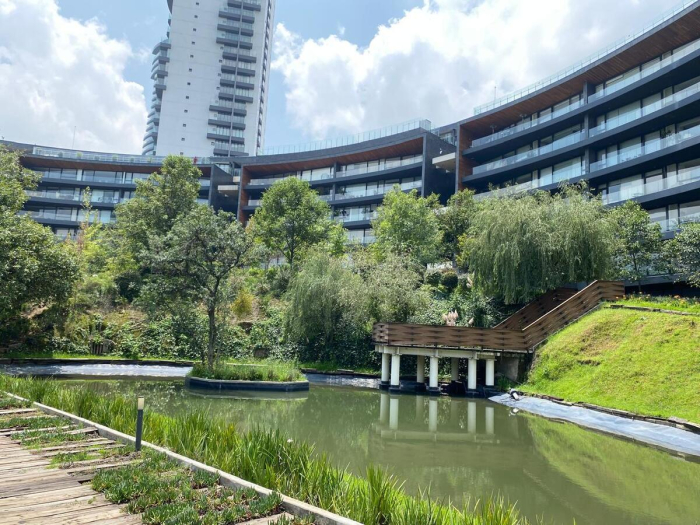 departamento en renta en augusta, bosque real