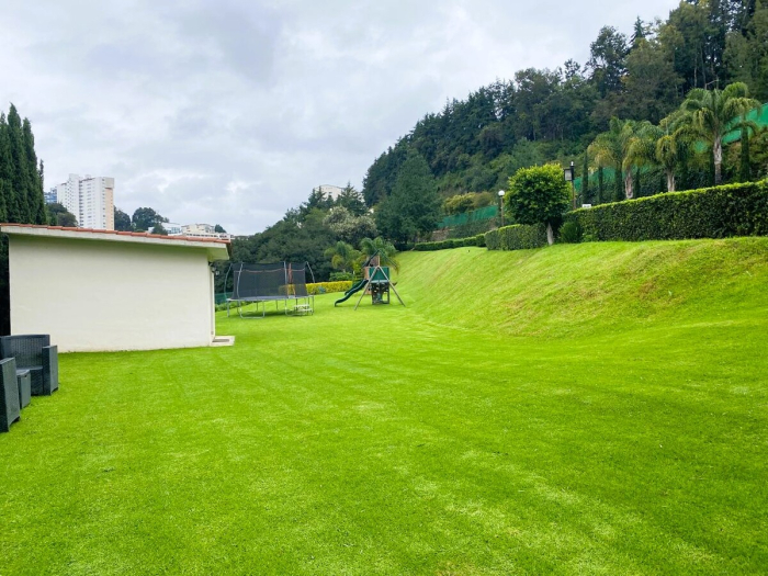 departamento en renta en finestre - lomas country club