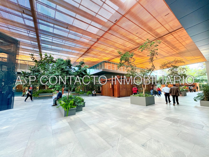 Oficina En Renta  Downtown Santa Fe  (Obra Gris)