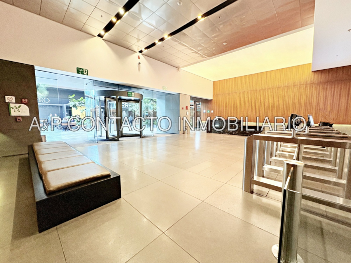 Oficina En Renta  Downtown Santa Fe  (Obra Gris)