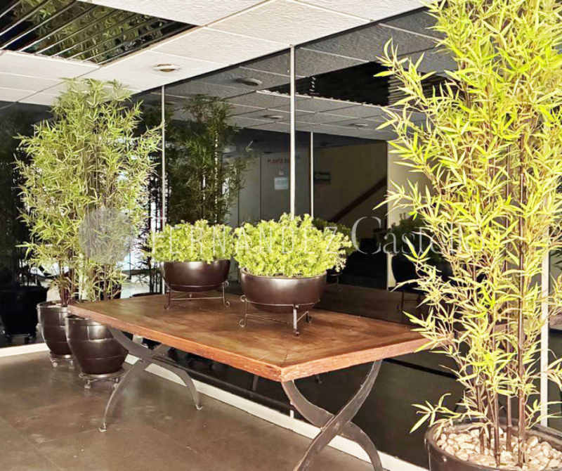 RENTA DE OFICINAS EN LA JUÁREZ