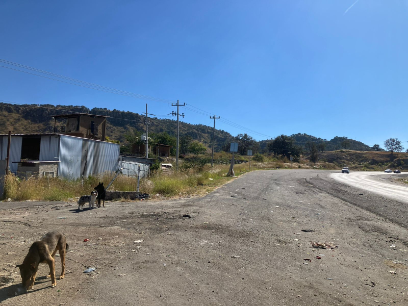 Bodega En Renta Sobre Carretera A Colotlán Cerca A Hacienda Monticcelo