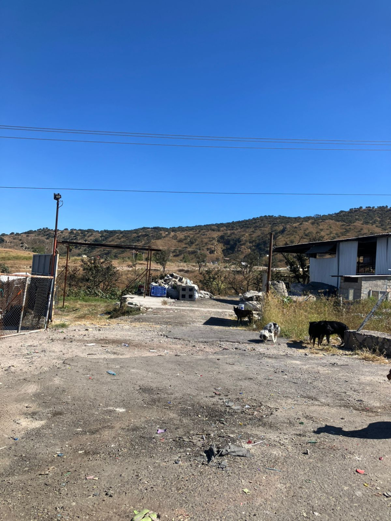 Bodega En Renta Sobre Carretera A Colotlán Cerca A Hacienda Monticcelo