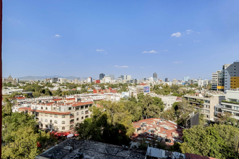 Departamento En Venta En Polanco 2 Rec, 2.5 B, Terraza 181 M2