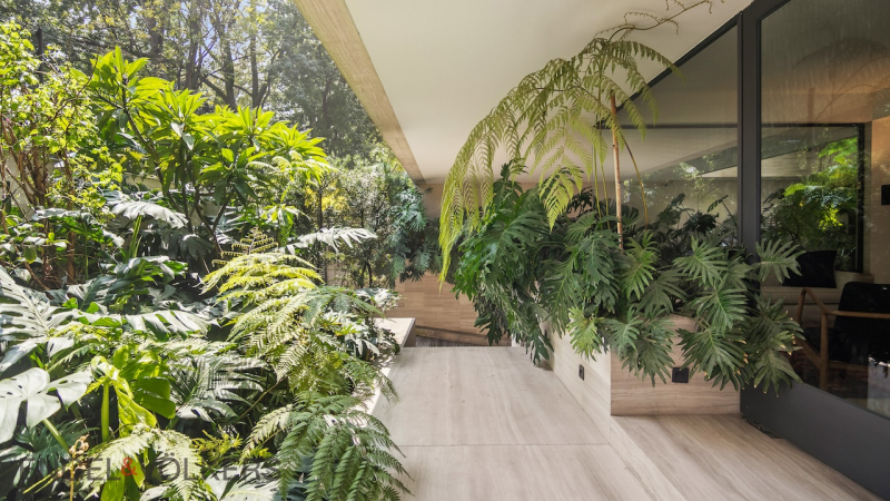 Departamento En Renta En Polanco 190 M2 3 Rec. 3.5 B. 2 Est.