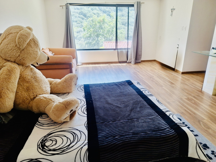 casa en venta en condado de sayavedra