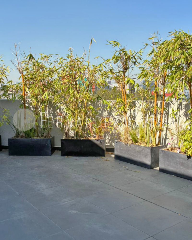 RENTA DE DEPARTAMENTO EN LA CUAUHTEMOC