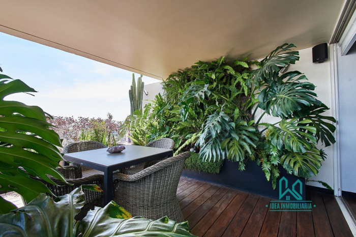 Penthouse De Lujo En Renta Lomas Country