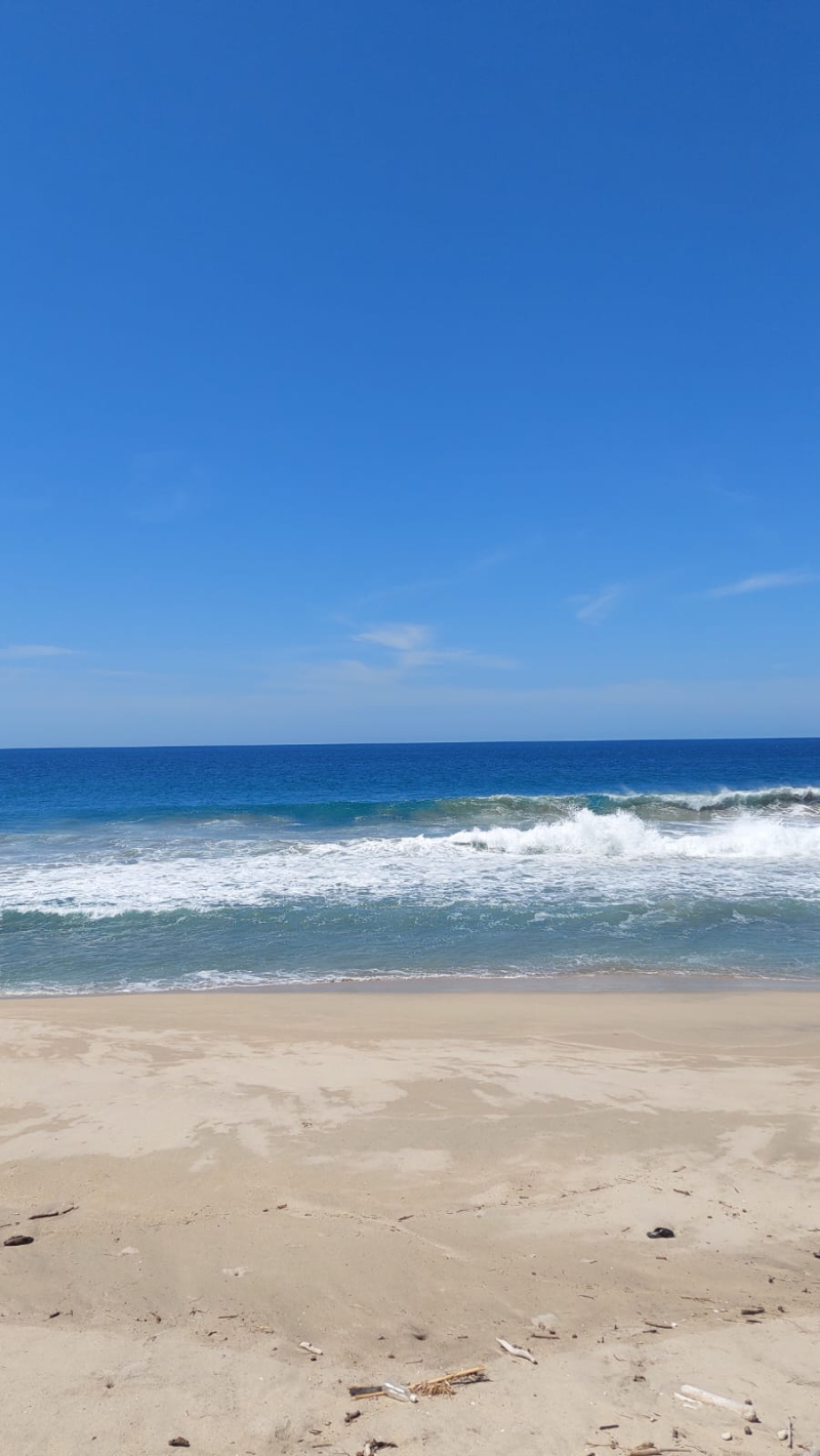 Terreno En Venta En Puerto Escondido 