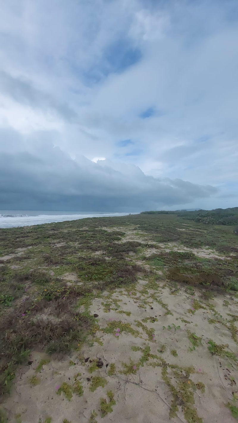 Terreno En Venta En Puerto Escondido 