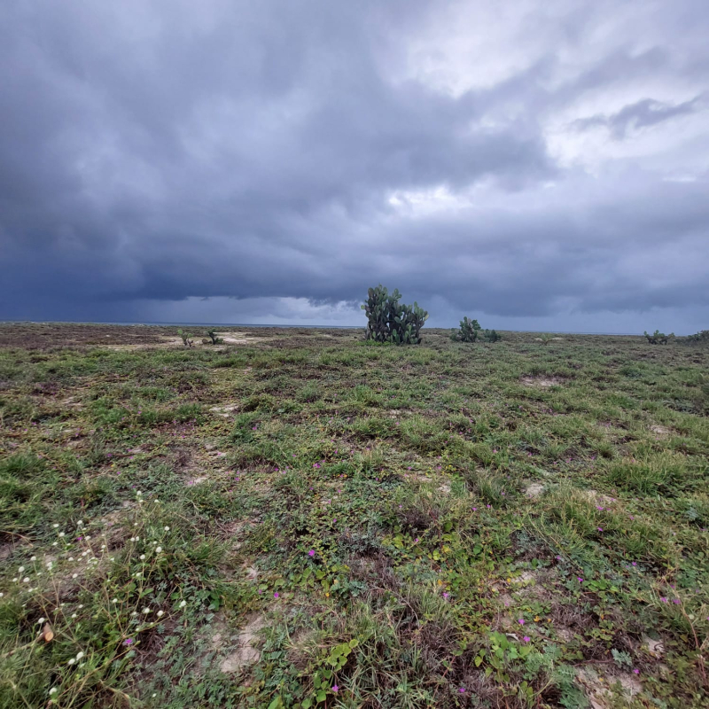Terreno En Venta En Puerto Escondido 
