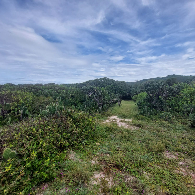 Terreno En Venta En Puerto Escondido 