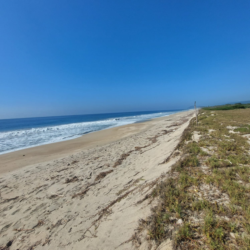 Terreno En Venta En Puerto Escondido 