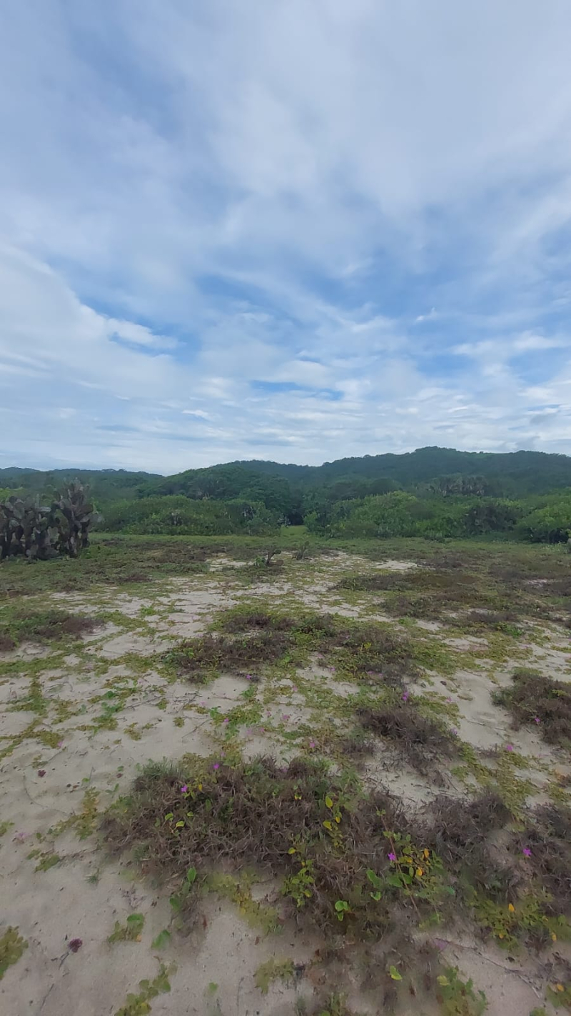 Terreno En Venta En Puerto Escondido 