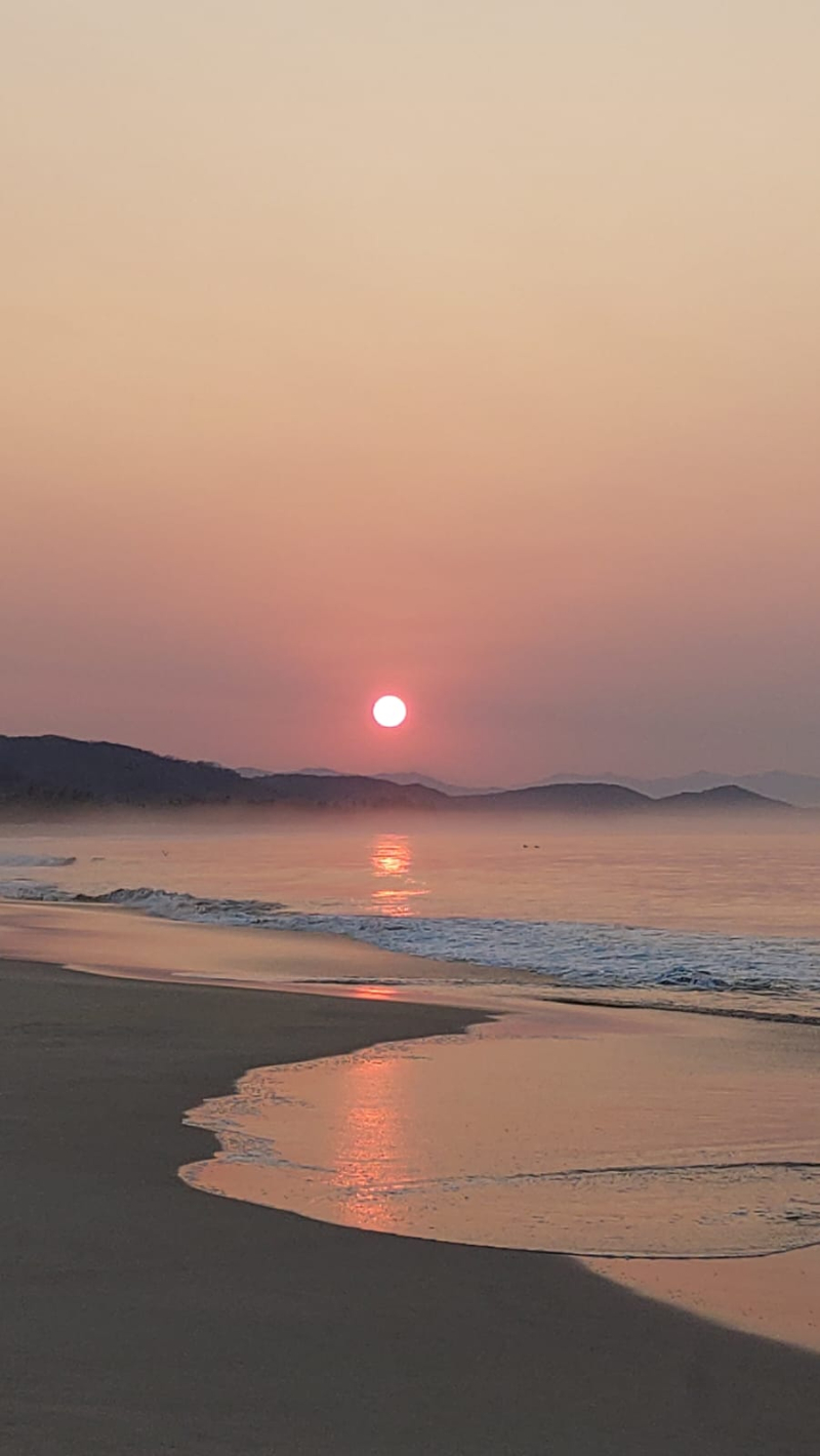 Terreno En Venta En Puerto Escondido 