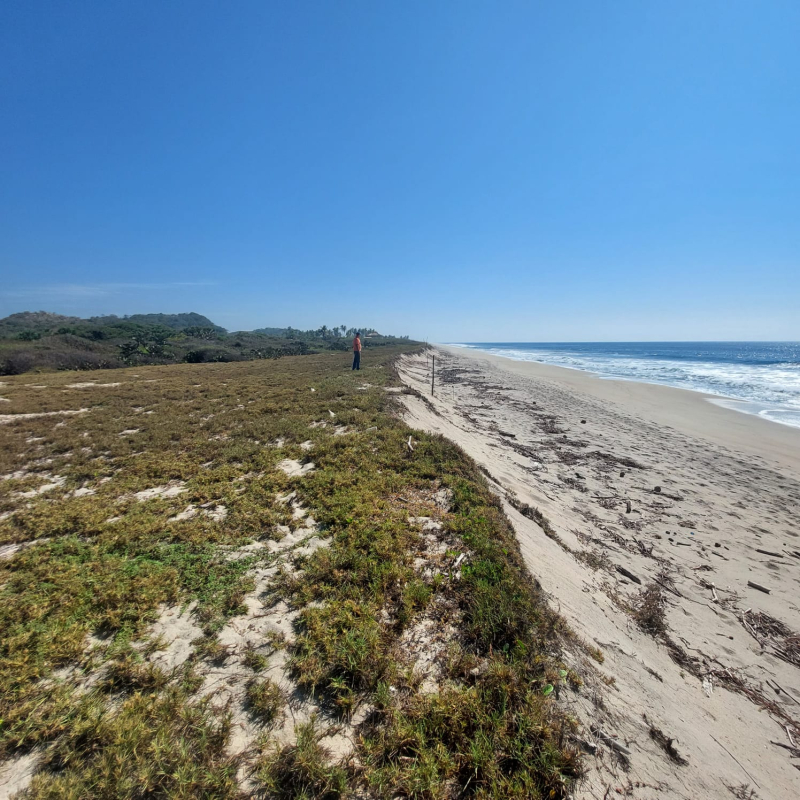 Terreno En Venta En Puerto Escondido 