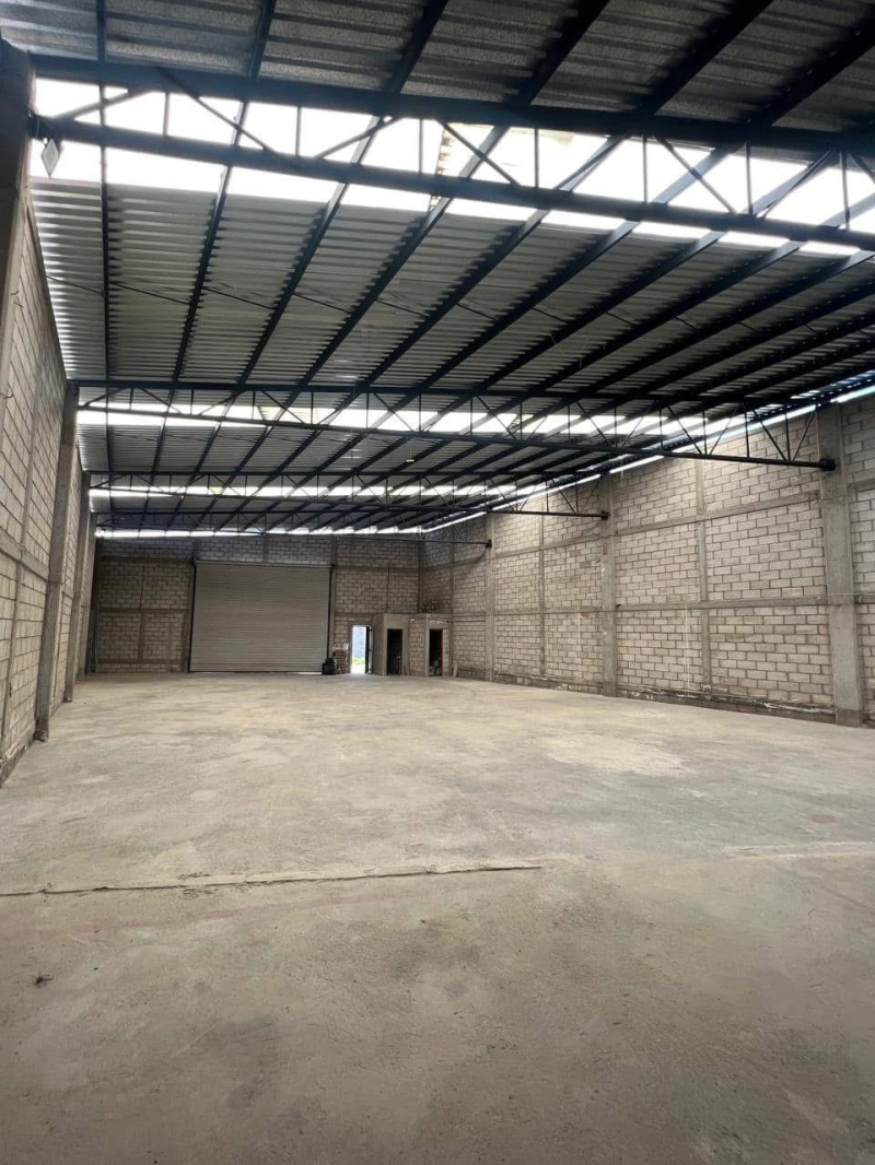 Bodega en Renta en Cumbres de Conin