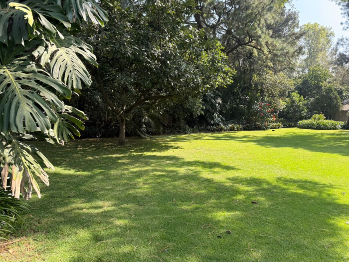 terreno venta san angel