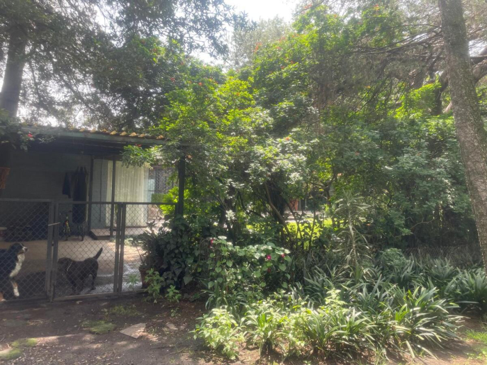 terreno venta san angel