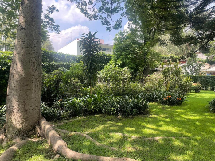 terreno venta san angel