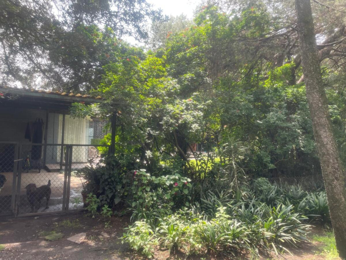 terreno venta san angel