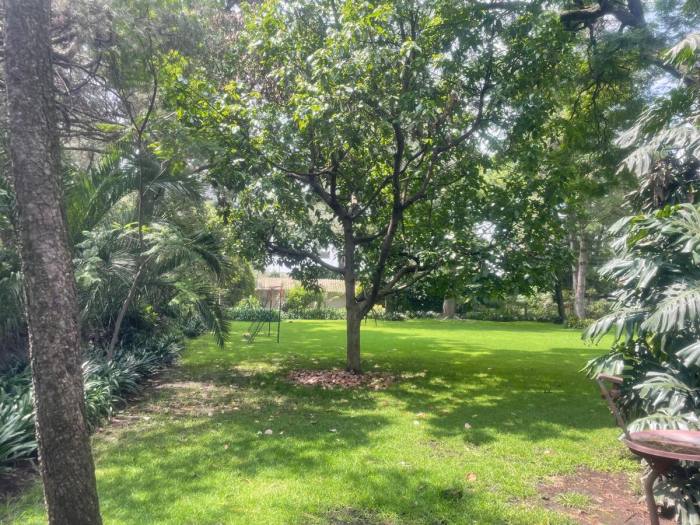 terreno venta san angel