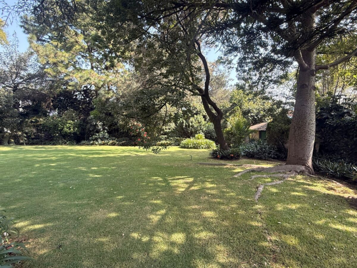 terreno venta san angel