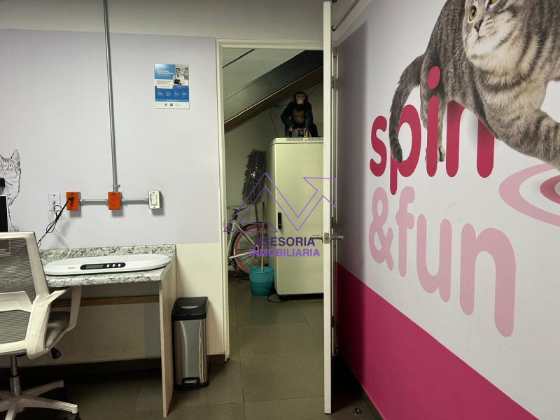 Local En Renta En Prado Norte