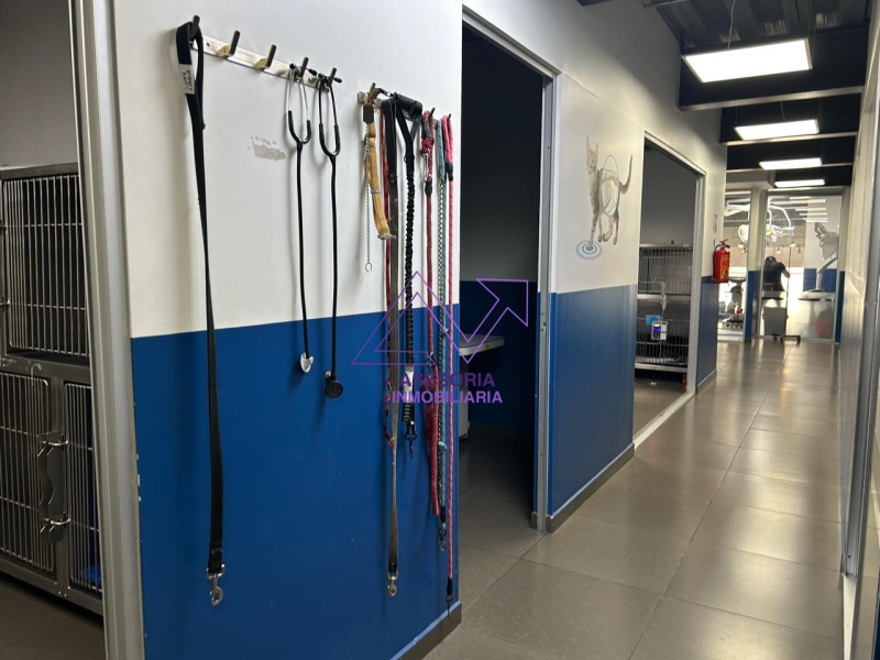 Local En Renta En Prado Norte