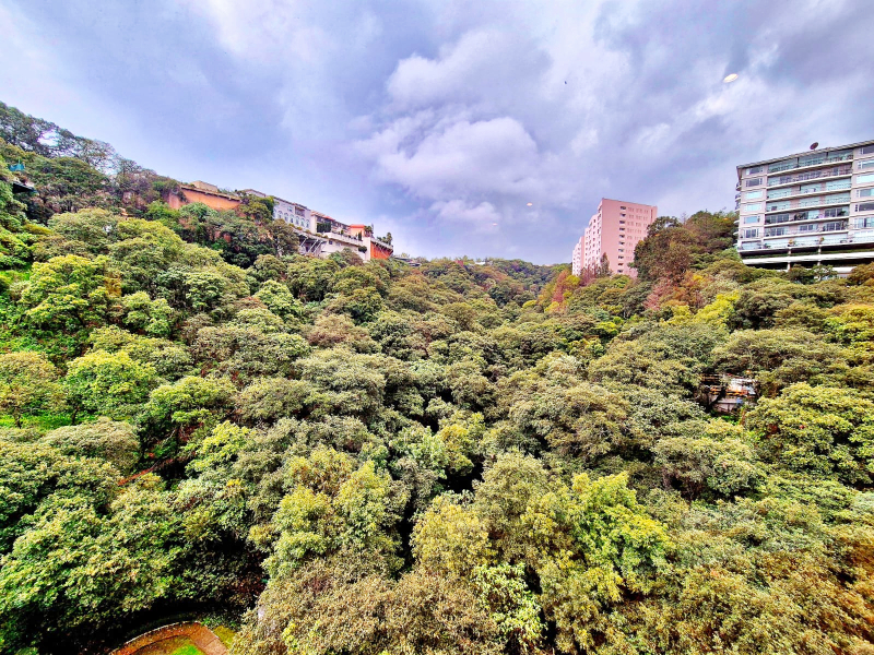 departamento en renta, residencial floresta, lomas de las palmas