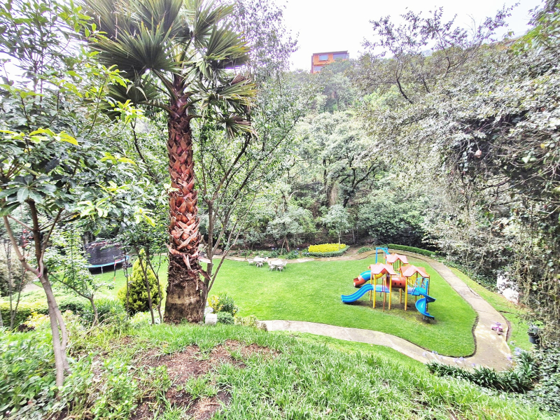 departamento en renta, residencial floresta, lomas de las palmas