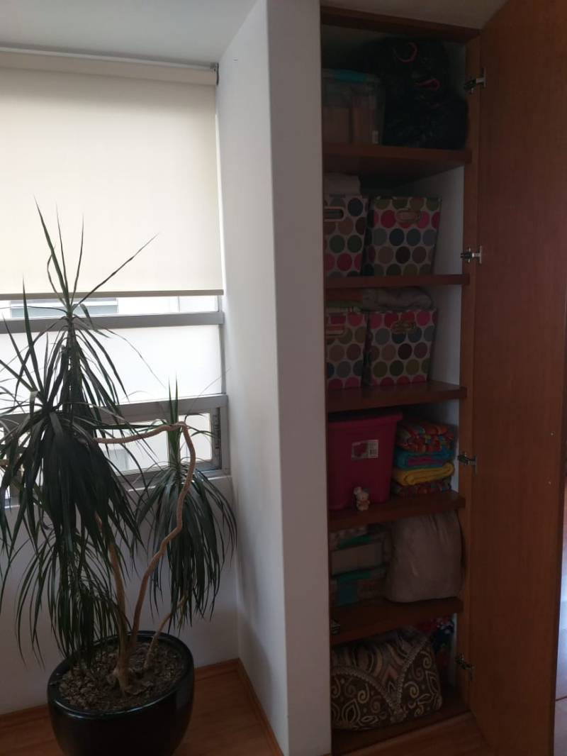 SE VENDE DEPARTAMENTO EN SAN PEDRO DE LOS PINOS BENITO JUAREZ, CDMX