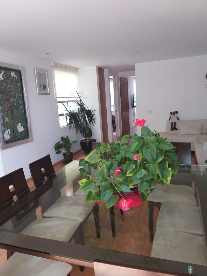 SE VENDE DEPARTAMENTO EN SAN PEDRO DE LOS PINOS BENITO JUAREZ, CDMX