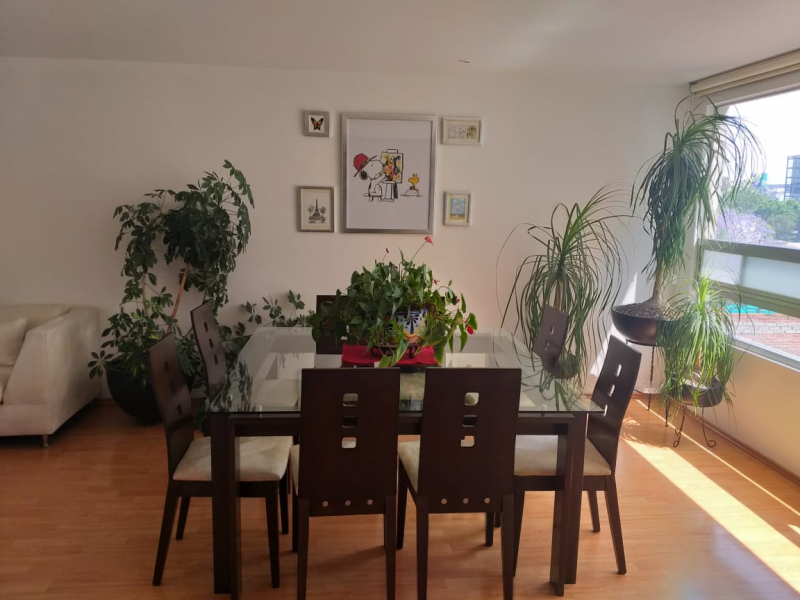 SE VENDE DEPARTAMENTO EN SAN PEDRO DE LOS PINOS BENITO JUAREZ, CDMX
