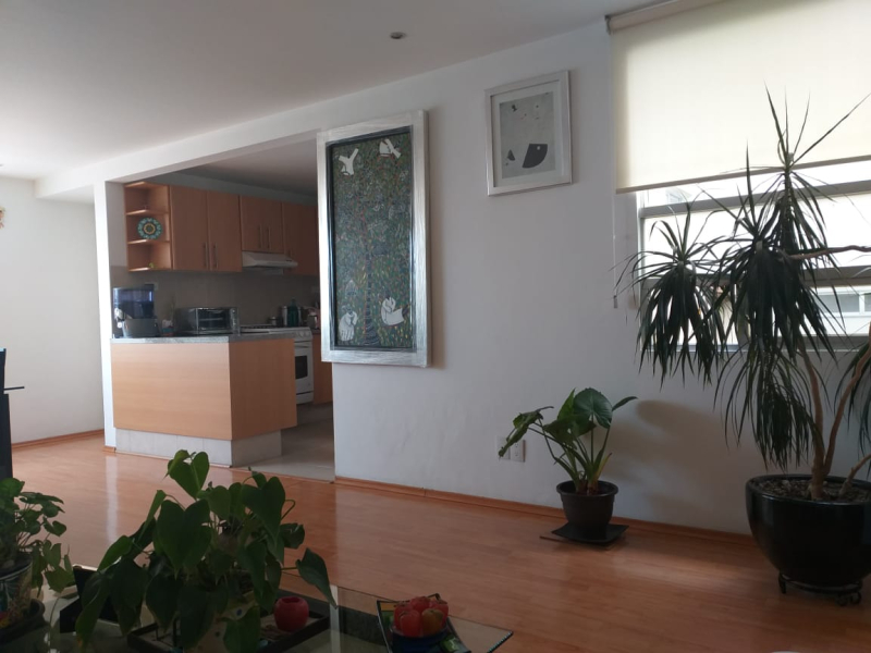 SE VENDE DEPARTAMENTO EN SAN PEDRO DE LOS PINOS BENITO JUAREZ, CDMX