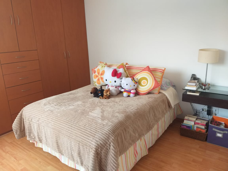 SE VENDE DEPARTAMENTO EN SAN PEDRO DE LOS PINOS BENITO JUAREZ, CDMX