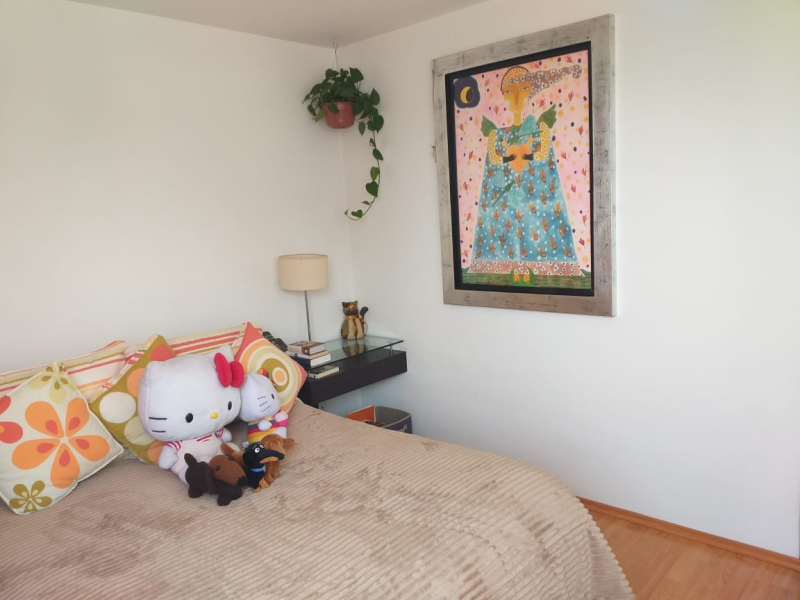 SE VENDE DEPARTAMENTO EN SAN PEDRO DE LOS PINOS BENITO JUAREZ, CDMX