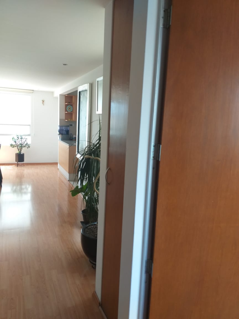 SE VENDE DEPARTAMENTO EN SAN PEDRO DE LOS PINOS BENITO JUAREZ, CDMX