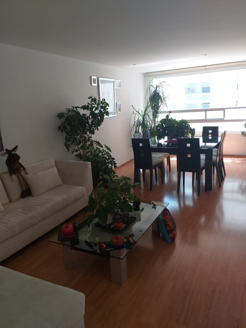 SE VENDE DEPARTAMENTO EN SAN PEDRO DE LOS PINOS BENITO JUAREZ, CDMX