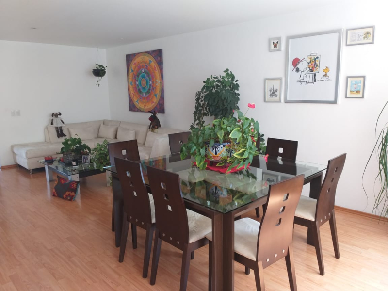 SE VENDE DEPARTAMENTO EN SAN PEDRO DE LOS PINOS BENITO JUAREZ, CDMX