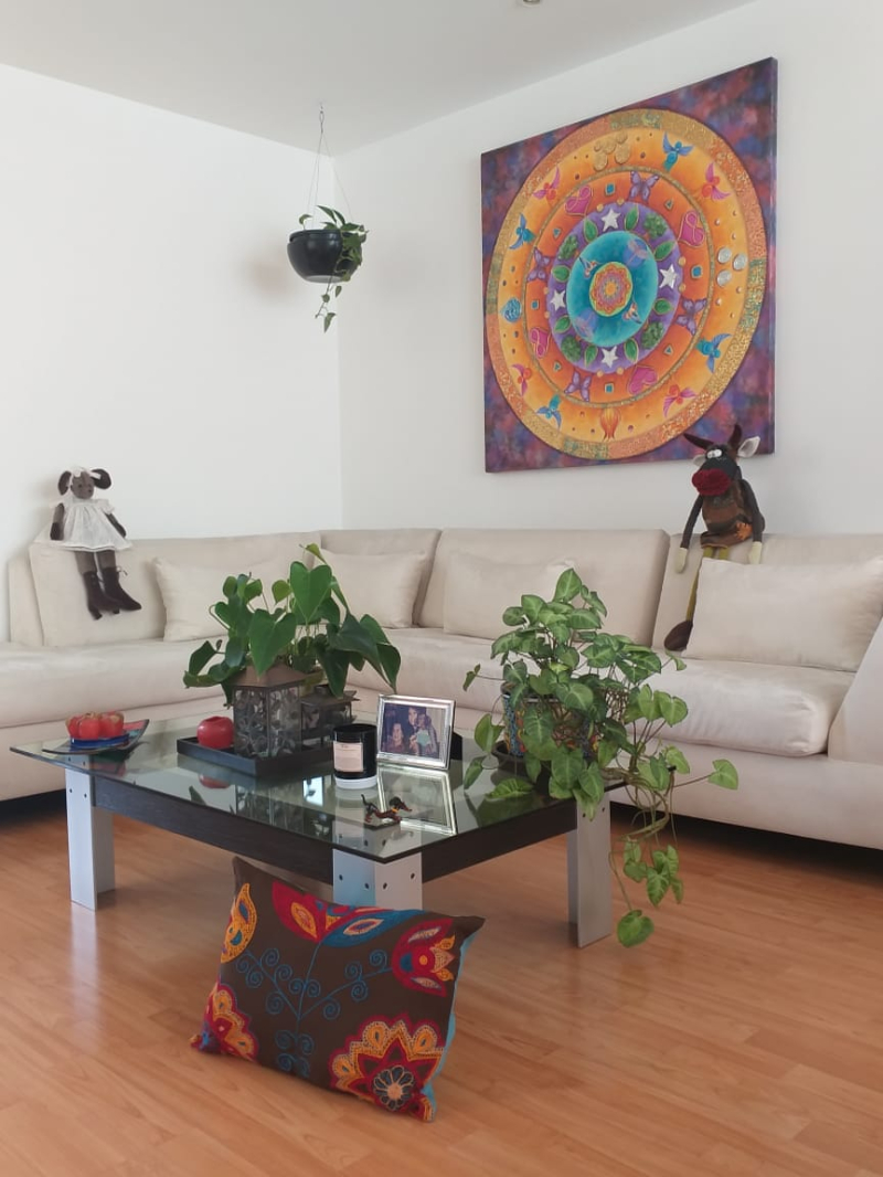 SE VENDE DEPARTAMENTO EN SAN PEDRO DE LOS PINOS BENITO JUAREZ, CDMX