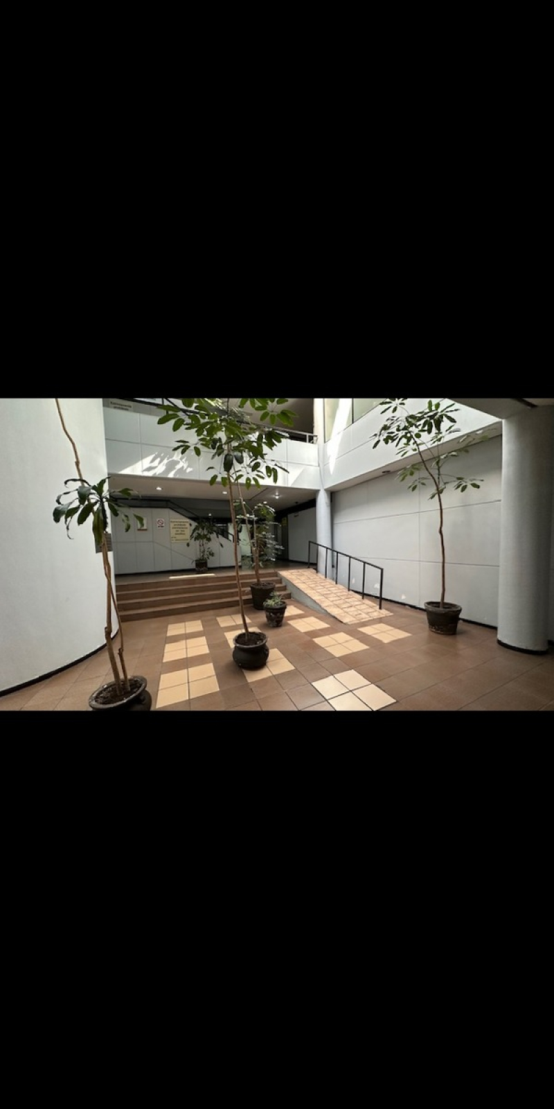 Local Comercial En Renta En Cuajimalpa