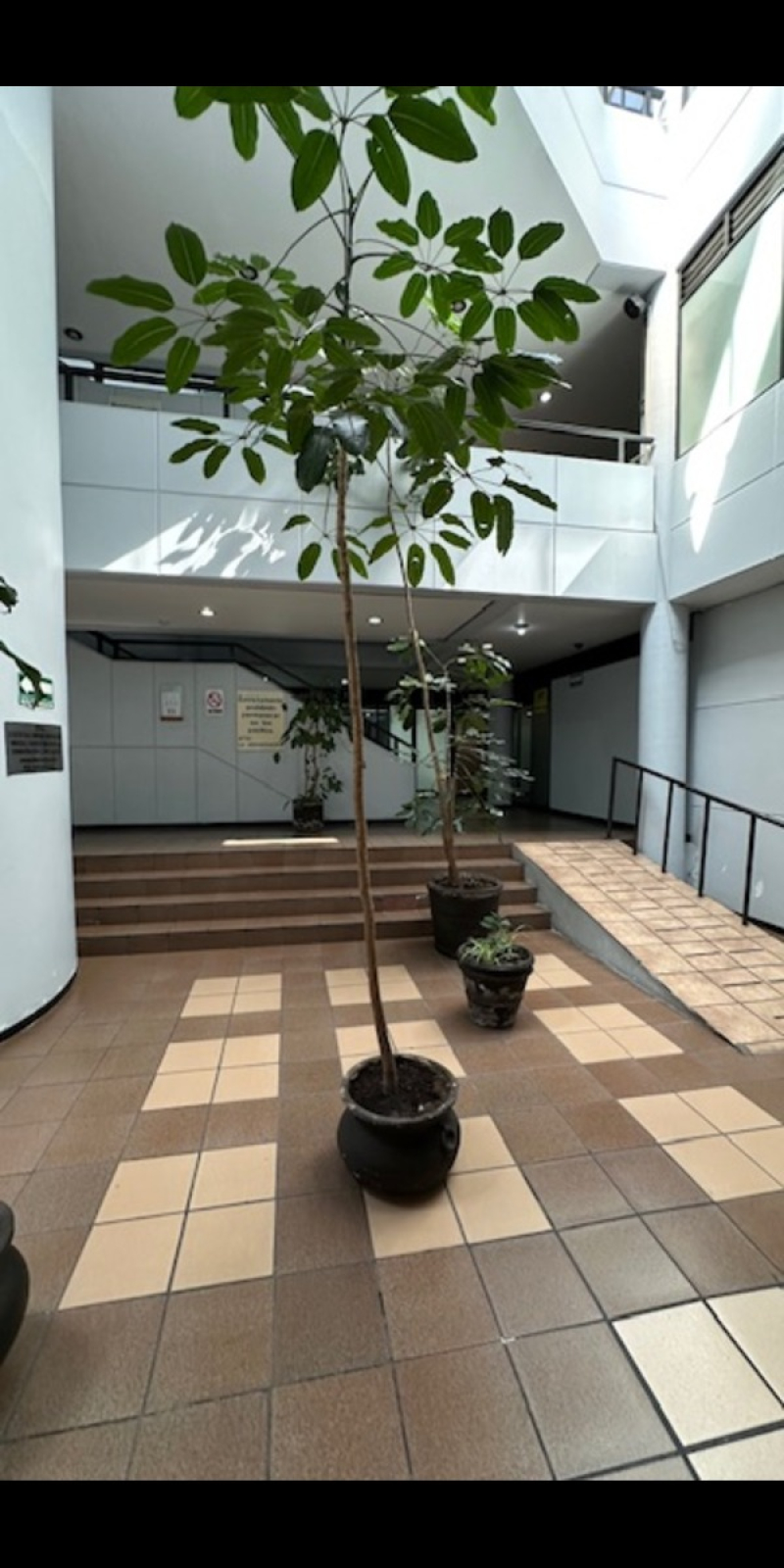 Local Comercial En Renta En Cuajimalpa