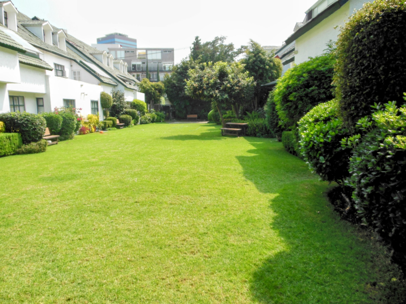 Casa Venta En Reforma Social 