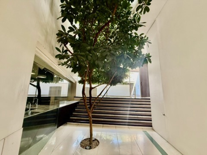 casa en venta en lomas altas