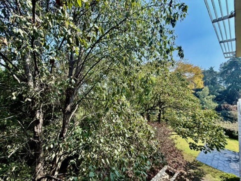 casa en venta en lomas altas