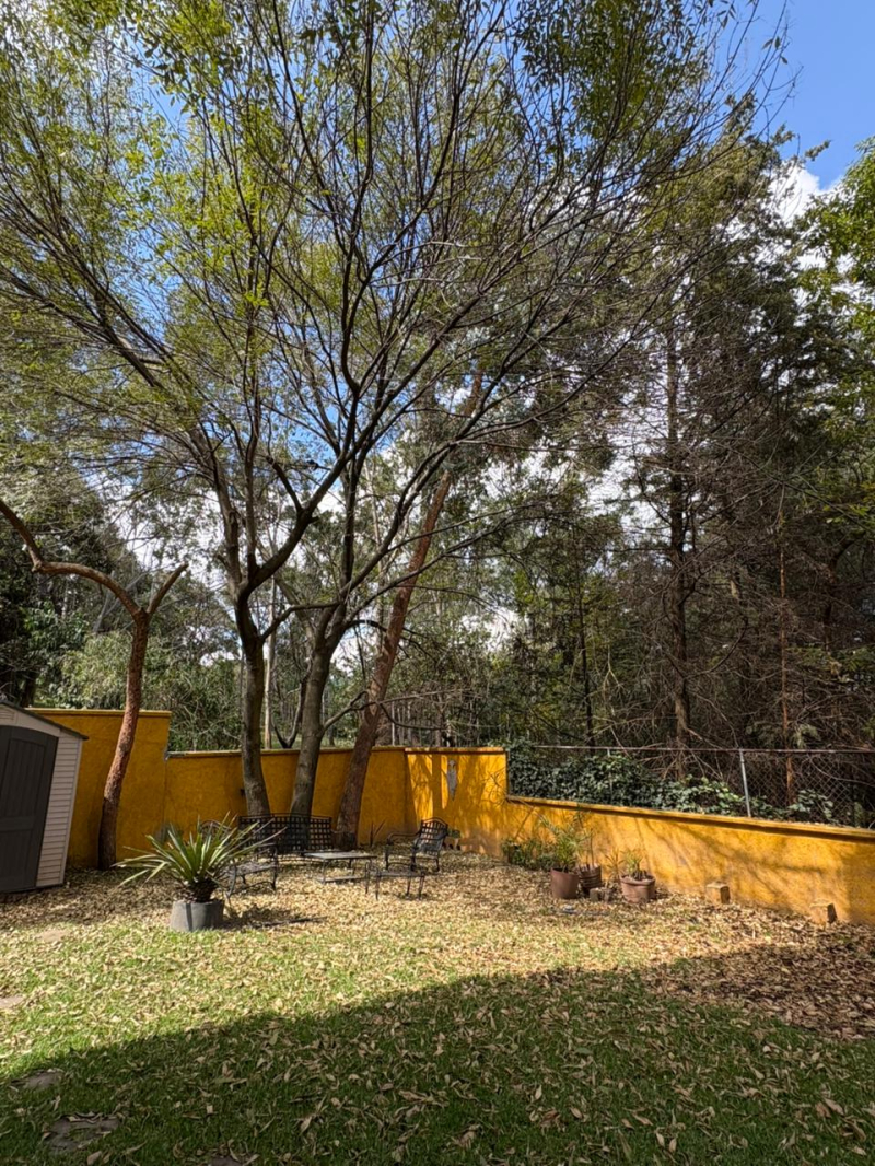 Departamento En Venta En Jesús Del Monte