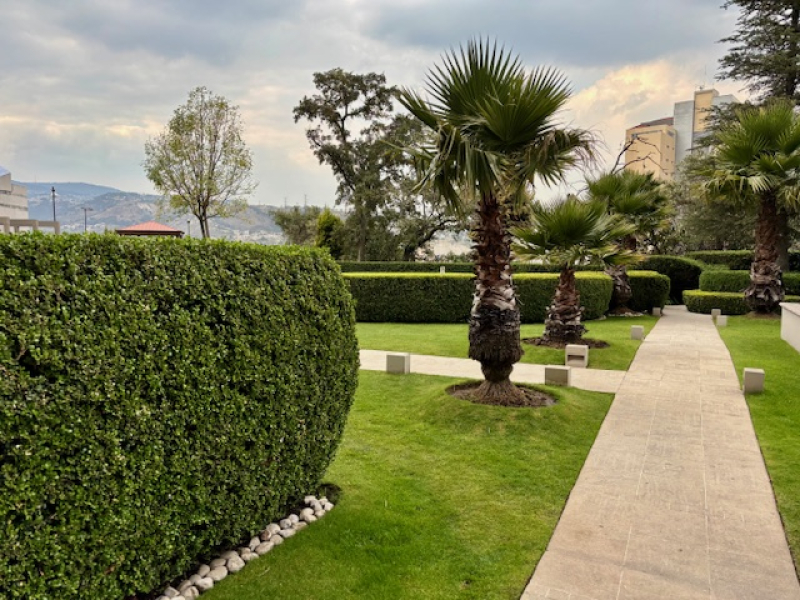 Departamento En Renta En Bosque Real